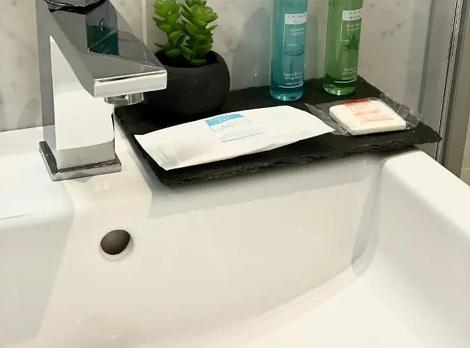 Ducale 3* ريميني